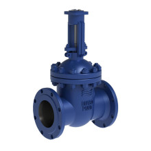 Задвижка 30с915нж