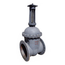 Задвижка 30с927нж